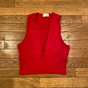 Aritzia Top